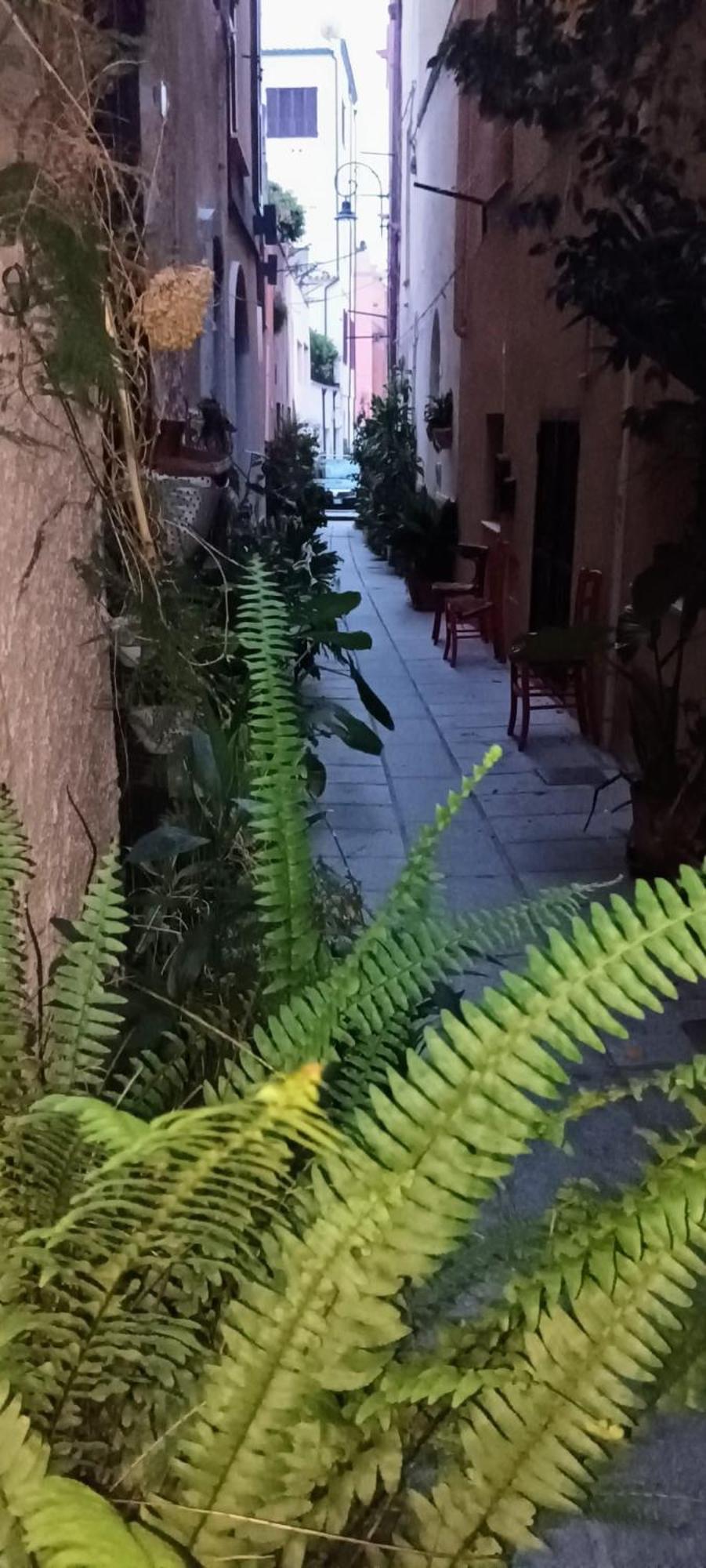 Casa Vacanze Nel Cuore Di Cagliari Buitenkant foto